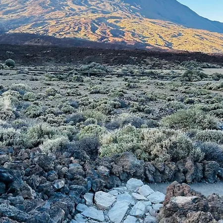 Cosy Flat With Sea View, Pool And Terrace In Altamira-complex In - Playa Del Duque Адехе